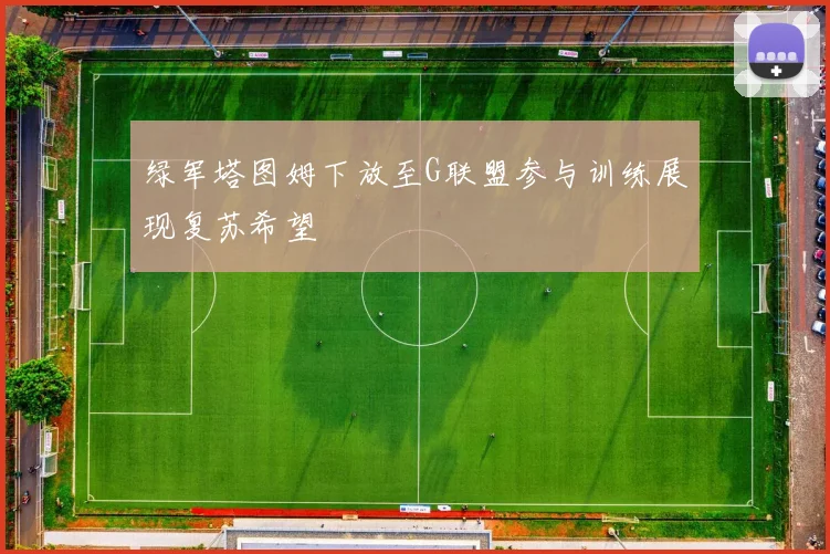 绿军塔图姆下放至G联盟参与训练展现复苏希望