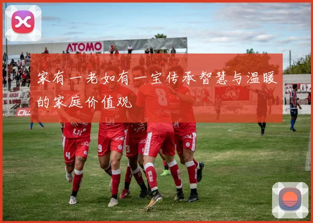 家有一老如有一宝传承智慧与温暖的家庭价值观