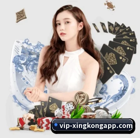 我们在做什么 - xingkong
